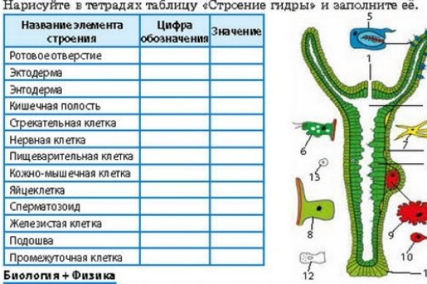 Ссылка на кракен онион