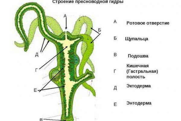 Омг нарко сайт omg omg ssylka onion com